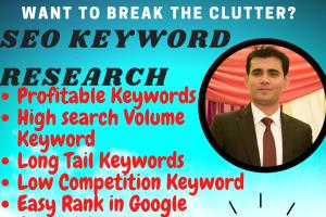 Portfolio for SEO Keyword Research, Competition Analys